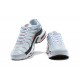 Air Max Plus Tn Crater Grey DA1500-100 Running Shoes Men's