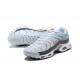 Air Max Plus Tn Crater Grey DA1500-100 Running Shoes Men's