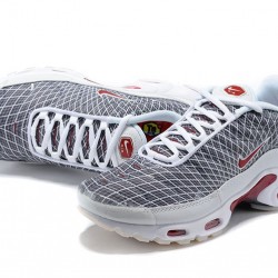 Air Max Plus Tn Grey and White Running Shoes Men's