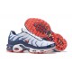 Air Max Plus Tn QS White Blue and Red Running Shoes Men's