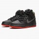 Nike Dunk SB High Spot Gasparilla 313171 028 Mens Sports Shoes