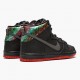 Nike Dunk SB High Spot Gasparilla 313171 028 Mens Sports Shoes