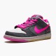 Nike Dunk SB Low Disposable 504750 061 Mens Sports Shoes