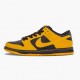 Nike Dunk SB Low Iowa 304292 706 Women And Men Sports Shoes