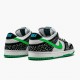 Nike Dunk SB Low Loon 313170 011 Women And Men Sports Shoes