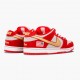 Nike Dunk SB Low Nasty Boys 304292 610 Women And Men Sports Shoes