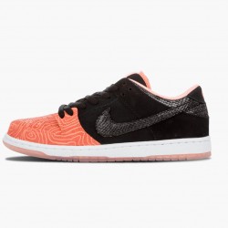 Nike Dunk SB Low Premier Fish Ladder 313170 603 Women And Men Sports Shoes