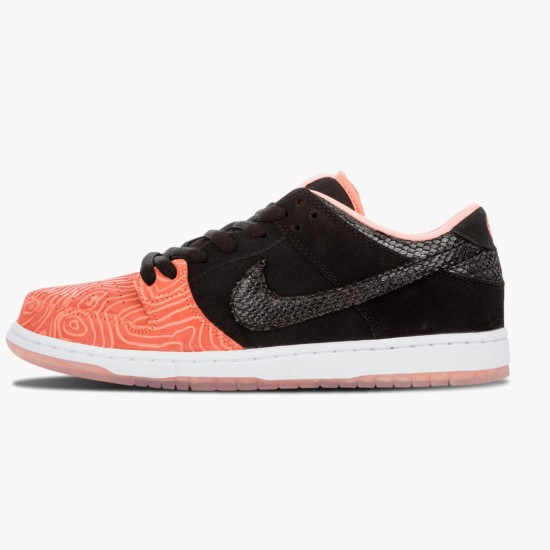 Nike Dunk SB Low Premier Fish Ladder 313170 603 Women And Men Sports Shoes