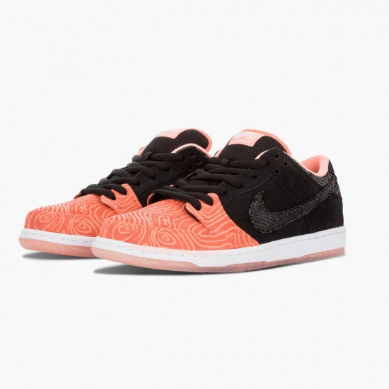 Nike Dunk SB Low Premier Fish Ladder 313170 603 Women And Men Sports Shoes