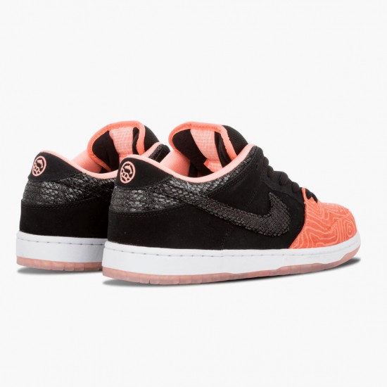 Nike Dunk SB Low Premier Fish Ladder 313170 603 Women And Men Sports Shoes