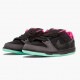 Nike Dunk SB Low Premier Northern Lights 724183 063 Women And Men Sports Shoes