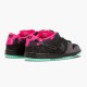 Nike Dunk SB Low Premier Northern Lights 724183 063 Women And Men Sports Shoes