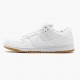 Nike Dunk SB Low Tokyo 2015 304292 110 Women And Men Sports Shoes