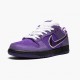 Nike SB Dunk Low Concepts Purple Lobster BV1310 555 Women And Men Sports Shoes