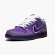 Nike SB Dunk Low Concepts Purple Lobster BV1310 555a Women And Men Sports Shoes