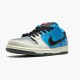 Nike SB Dunk Low Instant Skateboards CZ5128 400 Women And Men Sports Shoes