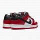 Nike SB Dunk Low J Pack Chicago BQ6817 600 Women And Men Sports Shoes